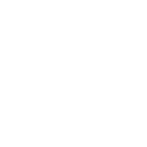 Red Van Creative Lucky Logo Design in Houston and the Woodlands, TX